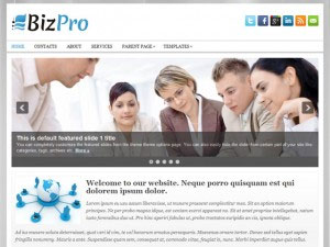 bizpro